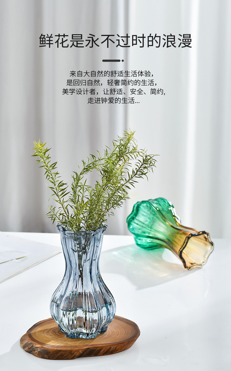 Nordic garlic-patterned glass vase with a transparent tabletop for living room decoration, ins style, high appearance level, dried fresh flower vase pic 2
