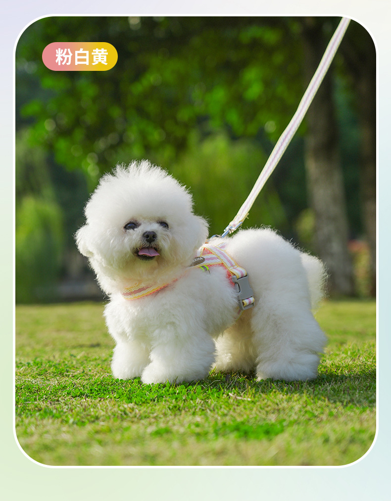 狗狗牵引绳防爆冲小型犬宠物背心式胸背带泰迪柯基胸背带遛狗绳子详情15