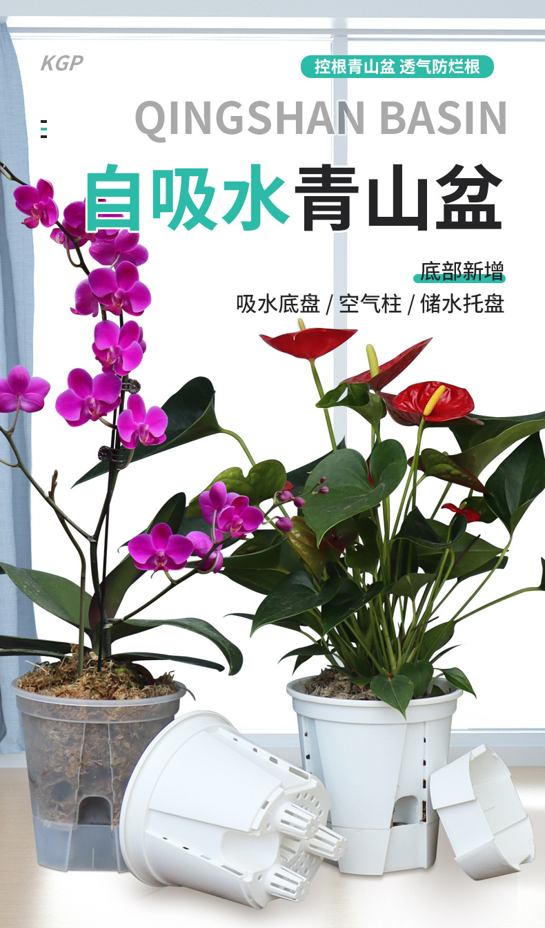 新款储水透明青山盆自吸水懒人盆控根盆朱顶红蝴蝶兰塑料花盆批发详情2
