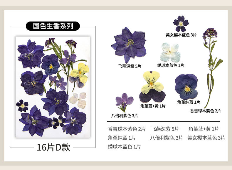 新款干花压花材料包贴脸装饰眼角写真花瓣diy滴胶相框植物标本详情13