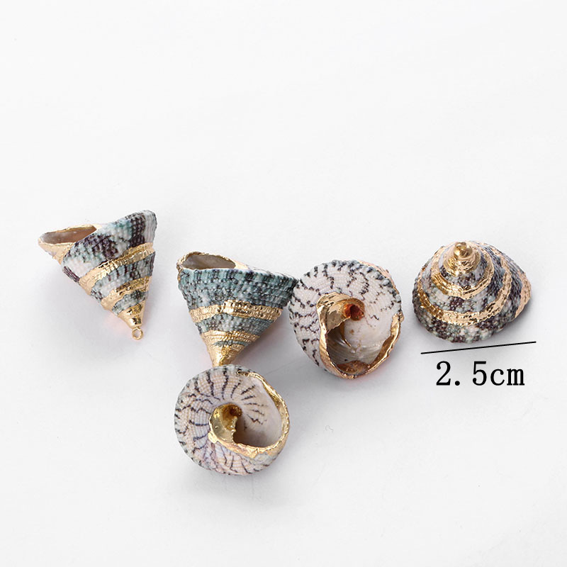 Gold-rimmed natural shell popular bracelet accessories, small conch light luxury, niche semi-finished diy accessory materials pic 5