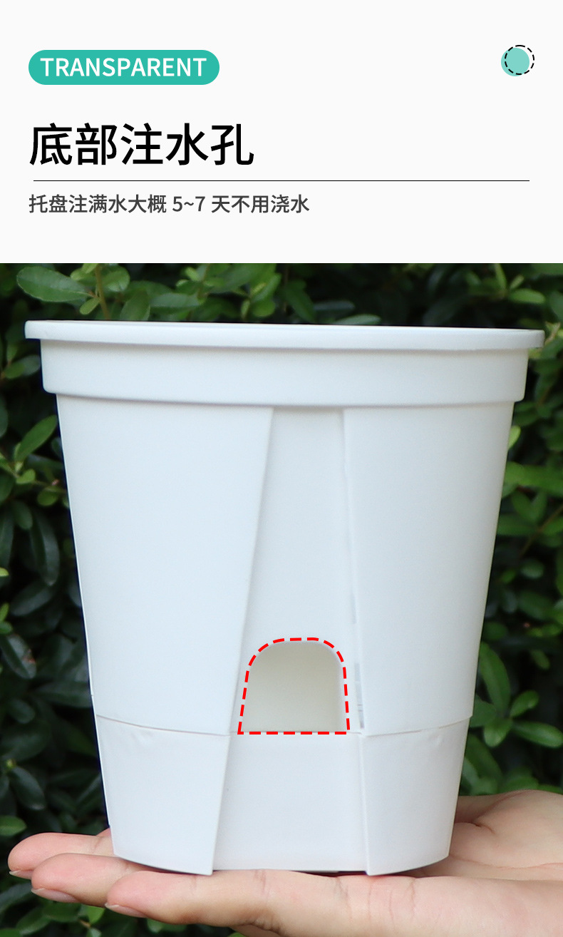 新款储水透明青山盆自吸水懒人盆控根盆朱顶红蝴蝶兰塑料花盆批发详情16