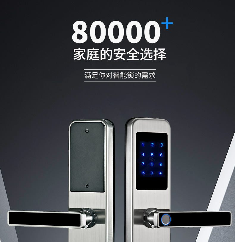 Tongtong Lock Silver and black dual-color smart door lock with facial and fingerprint recognition and blue backlit keyboard pic 4