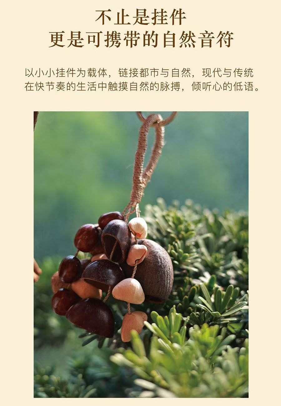 天然果壳手摇铃种子果实铃铛串风铃音乐伴奏治愈音疗乐器瑜伽冥想详情4