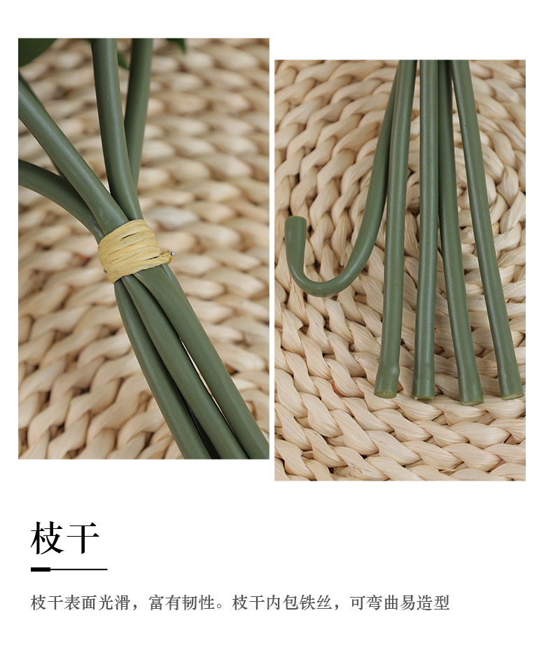 艾达卷边角玫_16.jpg
