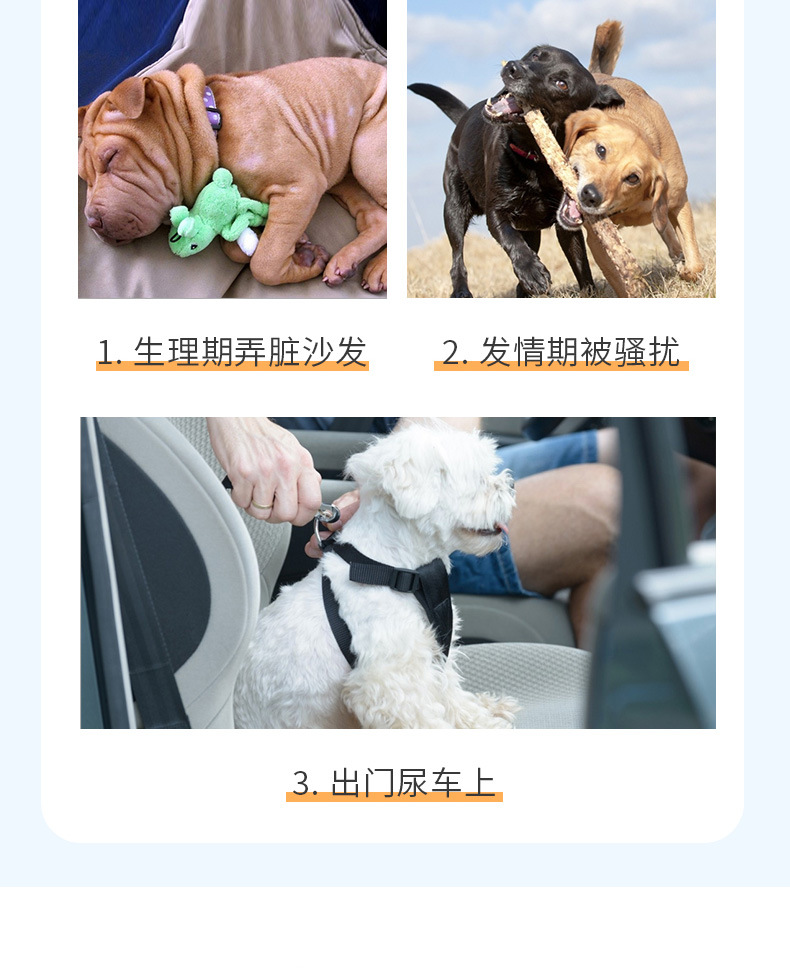 Dog sanitary napkins, pet physiological pants, Teddy pads, disposable pet pads, cat and dog menstrual sanitary napkins pic 1
