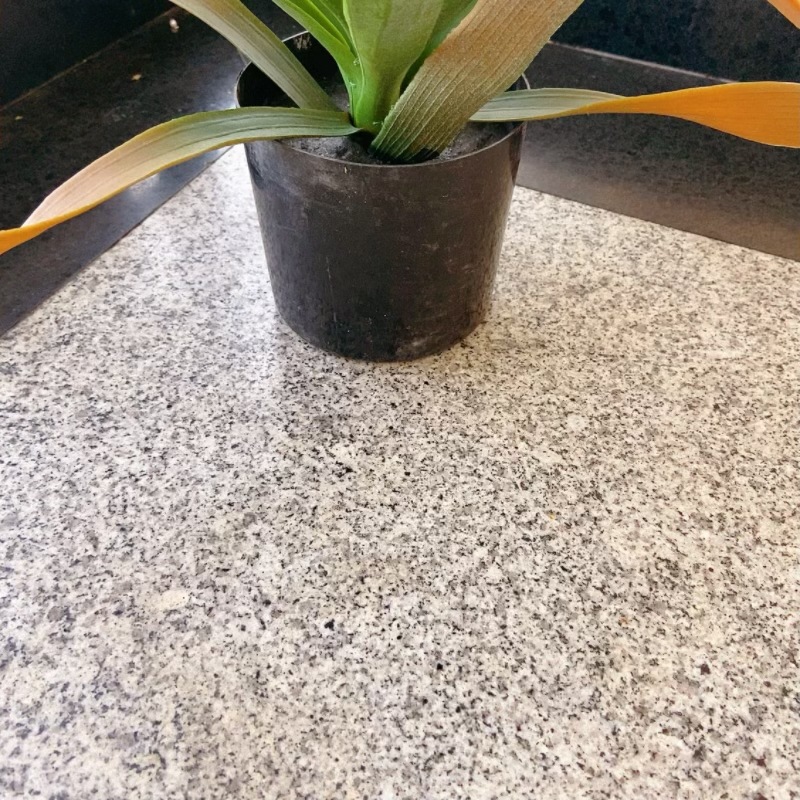 微信图片_20240524104039