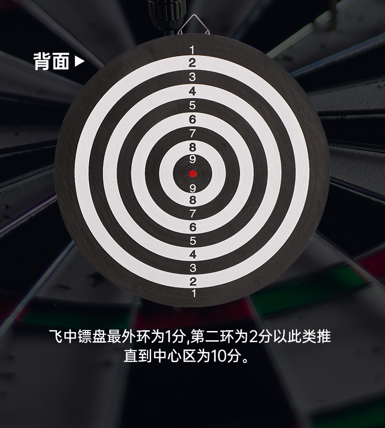 户外飞镖盘套装17寸15寸12寸大号双面针式飞标盘射击靶子镖靶针详情12