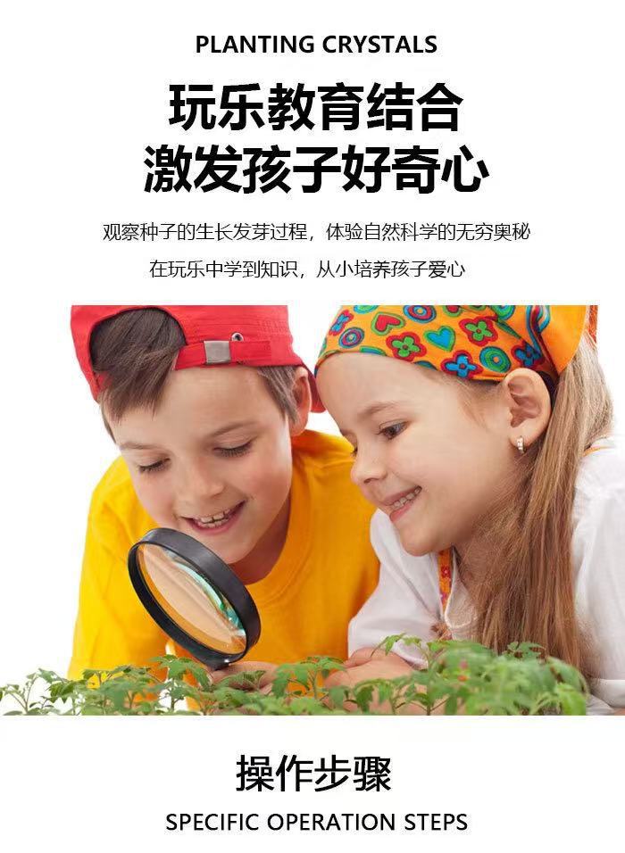幼儿园儿童种植小盆栽学生迷你水果小盆栽盲盒办公室内桌面绿植物详情8
