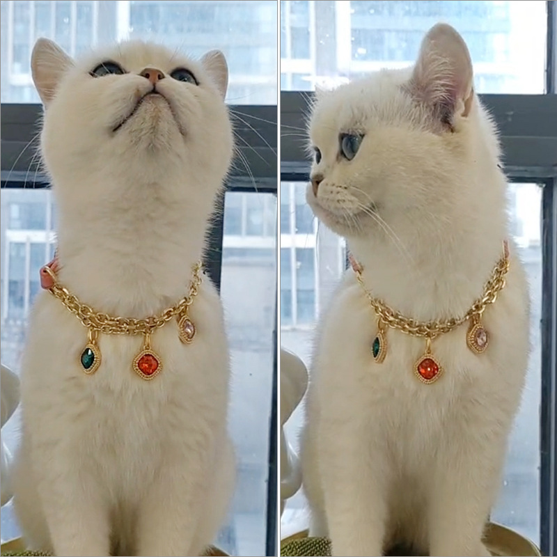 Pet supplies: Diamond buckle cat and dog collars, small dog pink pet necklaces, leash, cat and dog supplies pic 1