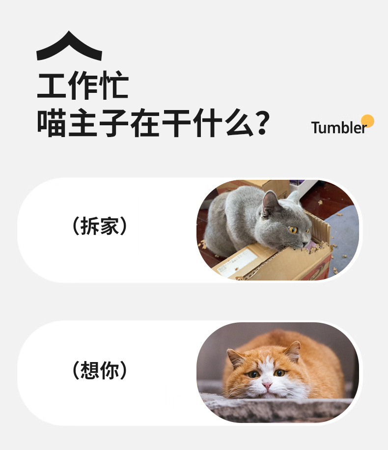 跨境自动逗猫球猫玩具自嗨解闷神器发声智能跳跳球宠物玩具详情3
