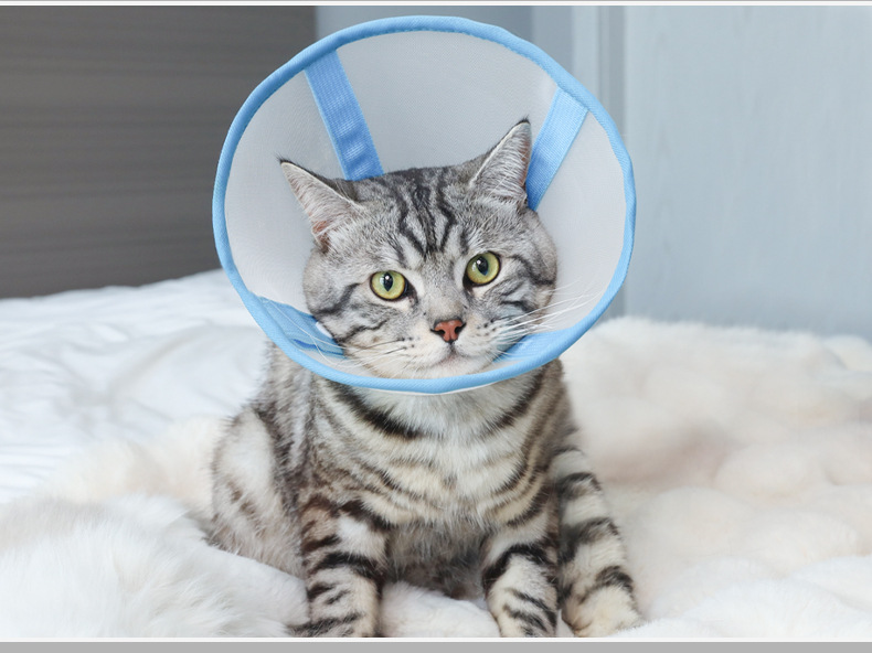 猫咪伊丽莎白圈加深可视透气纱网绝育圈猫咪伤口防舔脖圈宠物用品详情4