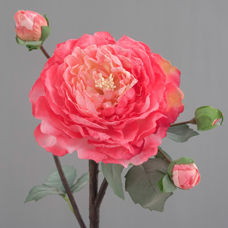 欧式复古仿真花焦边大牡丹假花芍药客厅餐桌花瓶插花绢花摄影道具详情13