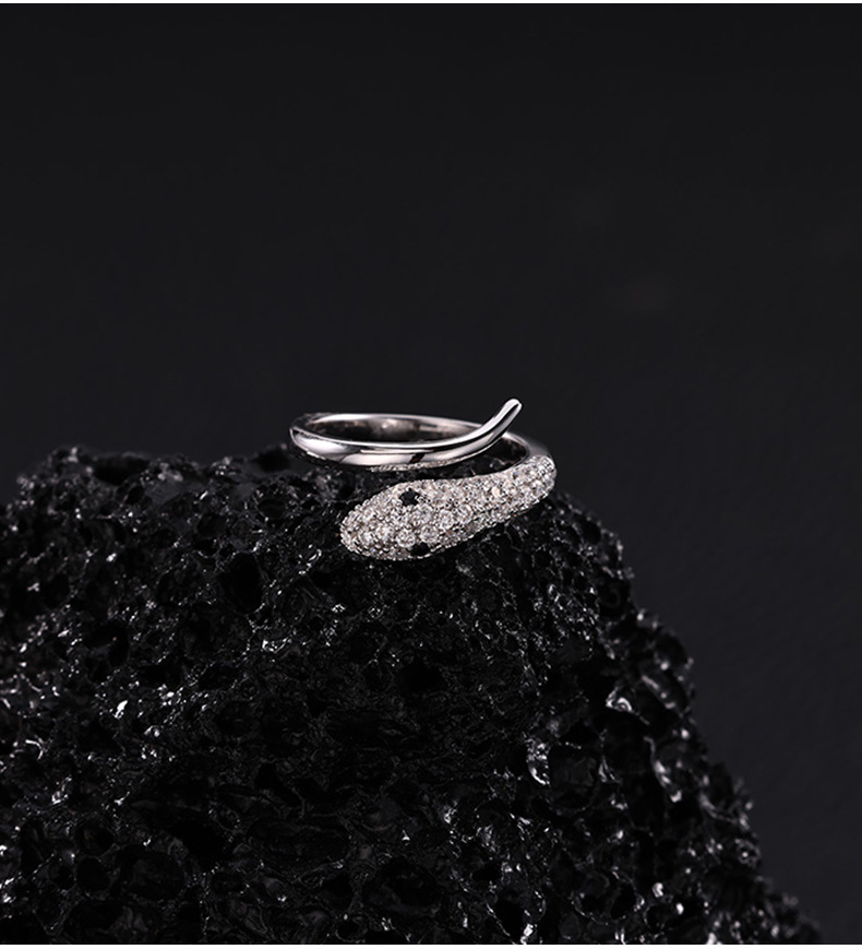 卓恒甄选2026年新款s925纯银蛇形开口戒指女ins暗黑冷淡风食指戒时尚个性小众设计详情7