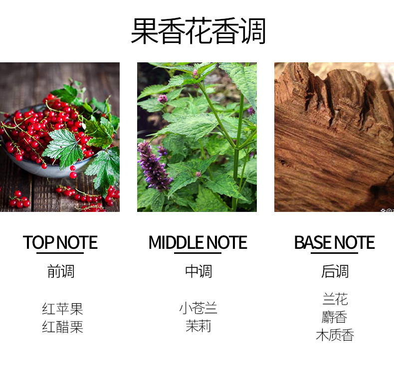 WARMKISS宠爱女士香水蝴蝶结持久淡香清新小众学生少女香跨境批发详情7