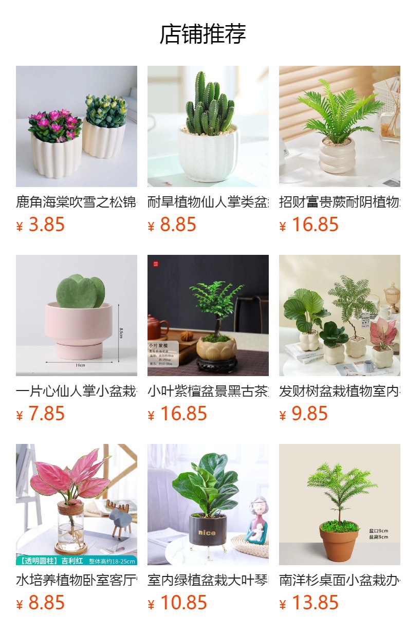 Five Blessings Money Tree small potted indoor plants, office desk small green plants potted plants, indoor flower potted plants pic 15