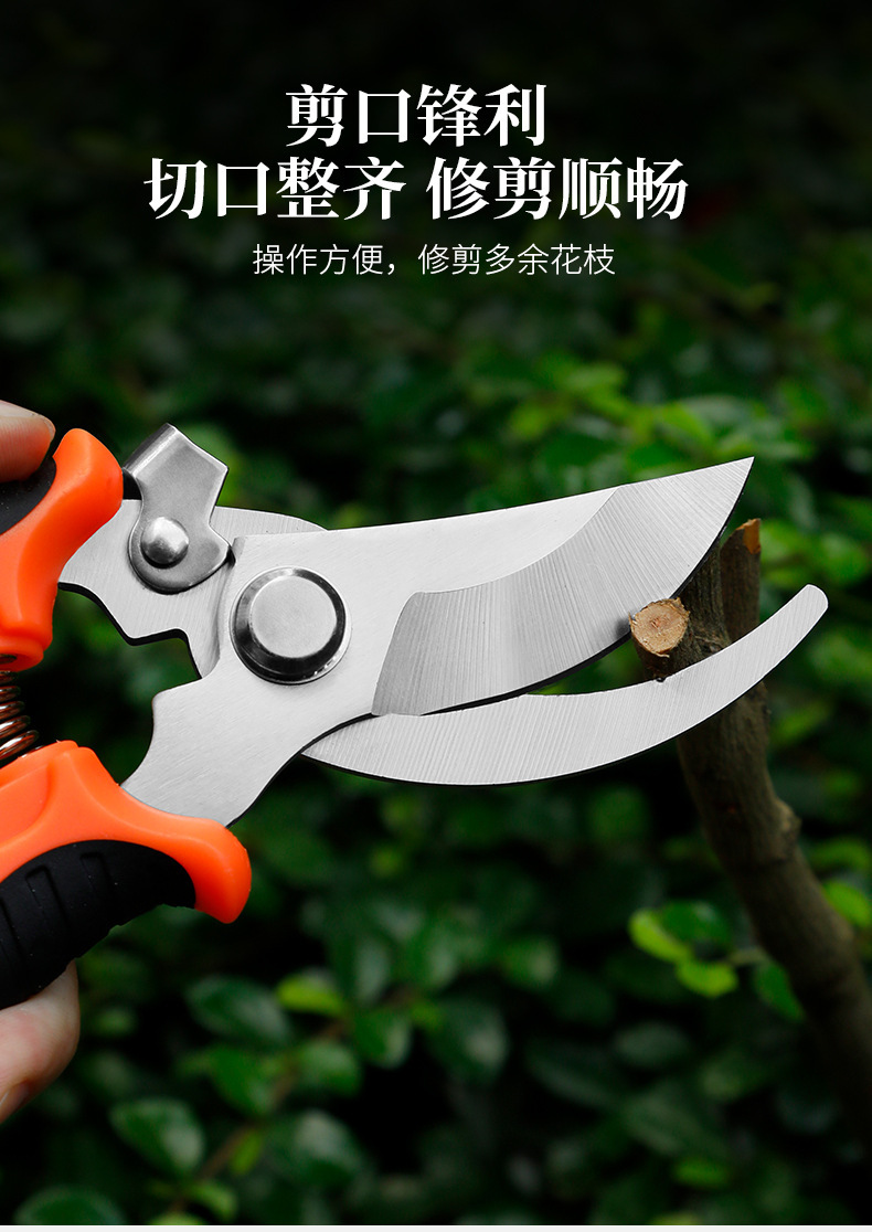 强力修枝剪果树粗枝剪刀家用省力园艺剪枝的剪园林树枝剪剪枝的剪详情8