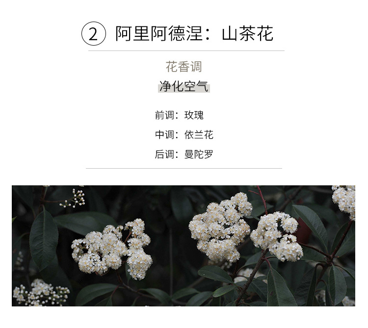 香薰蜡烛精油石膏香氛礼盒伴手礼卧室家用室内圣诞节礼物详情48