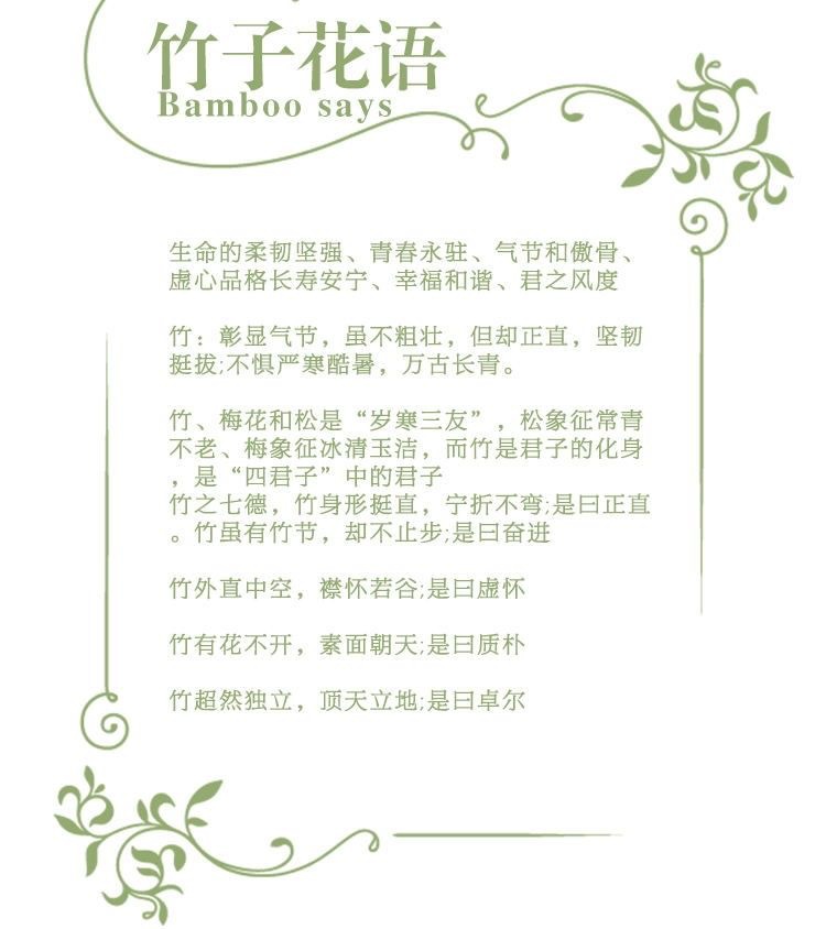 仿真竹子室内装饰隔断屏风假竹子挡墙造景绿植盆栽细水竹办公文化园艺仿真枝叶树详情2
