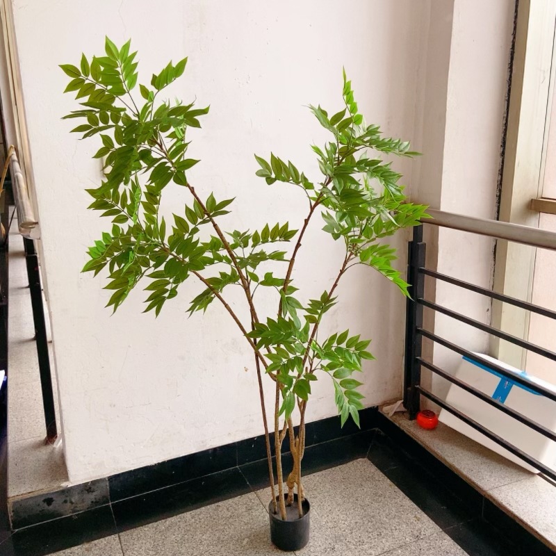 Factory store, wholesale of artificial plants, dynamic Chinese toon tree potted plants, courtyard ornaments, green painted wood, small tree landscaping and decoration pic 15