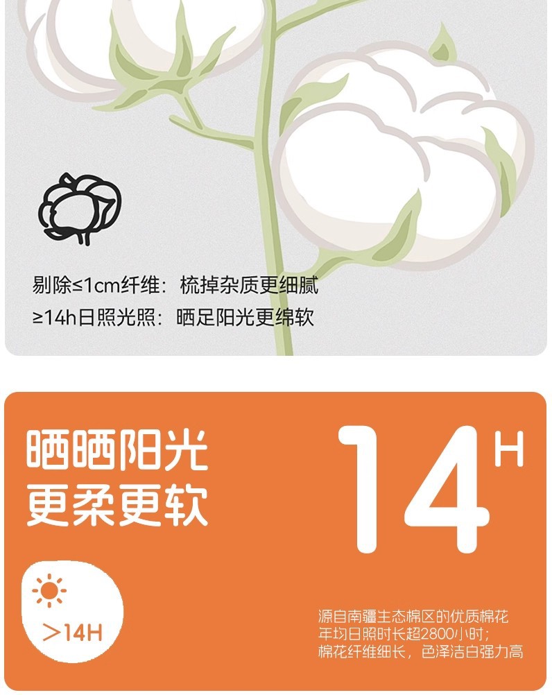 女童袜子秋冬季儿童棉袜a类中筒袜无骨防臭春秋女孩可爱卡通童袜详情3