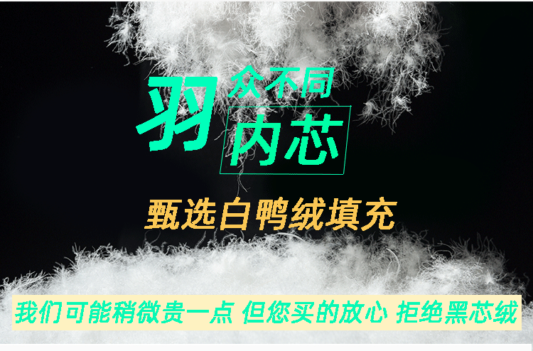 反季2024新款男士羽绒马甲轻薄款羽绒服立领外套青年大码坎肩背心详情7