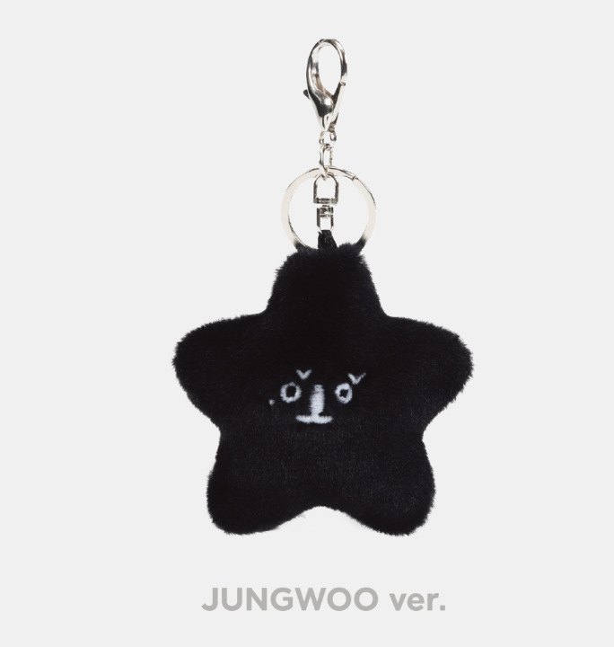 STARFISHDOLLKEYRING海星体挂件星星毛绒挂件NCT127男团钥匙扣详情6