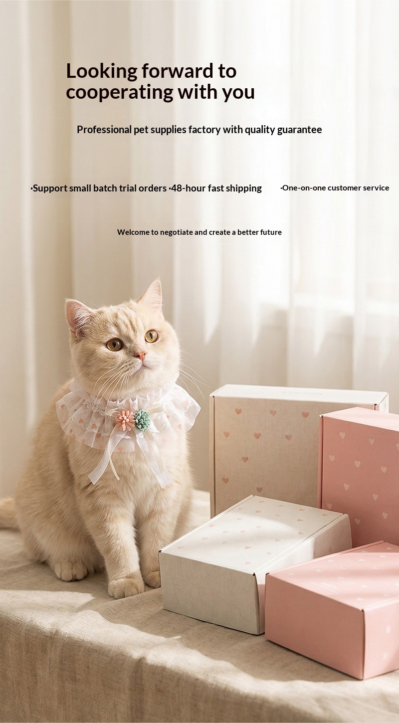 New pet supplies: Cat drool wipes, dog collars, exquisite wooden lace bibs, cute factory direct sales pic 21