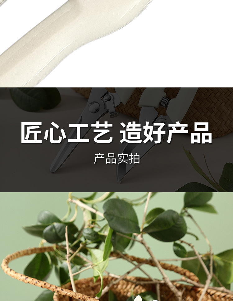 修枝剪全套园艺剪园林弯头花园摘果剪弹簧手动工具剪跨境专供批发详情17