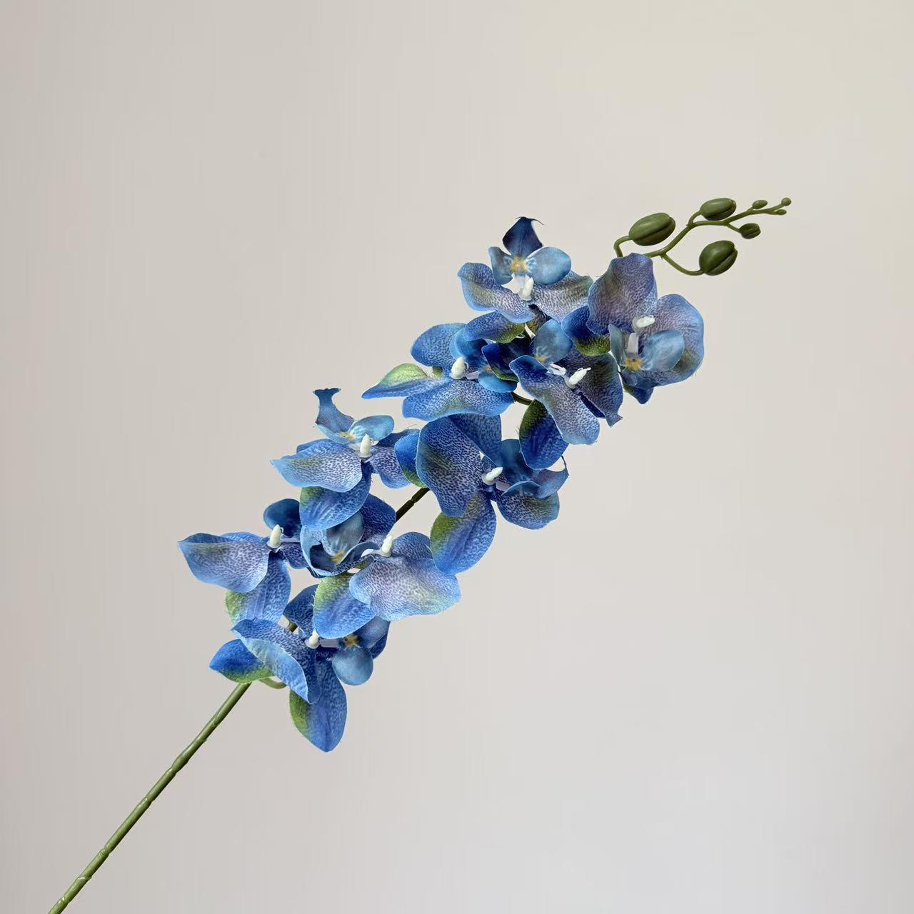 9头蝴蝶兰仿真花手感高级感逼真假花兰花艺场景布置酒店婚庆用花详情27