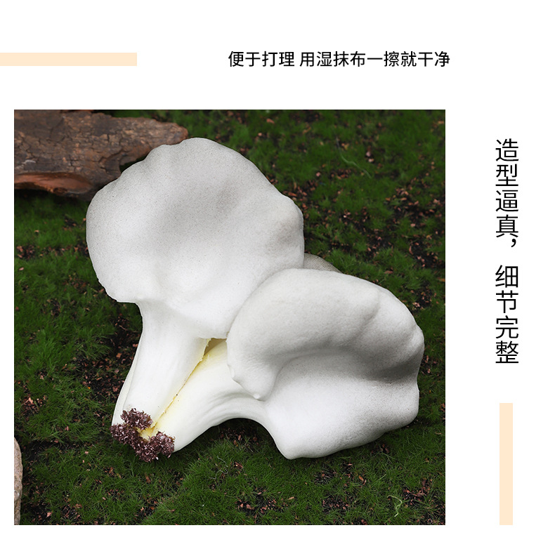 仿真迷您植物香菇平菇菌类套装早教植物静态摆件认知模型套装现货详情9