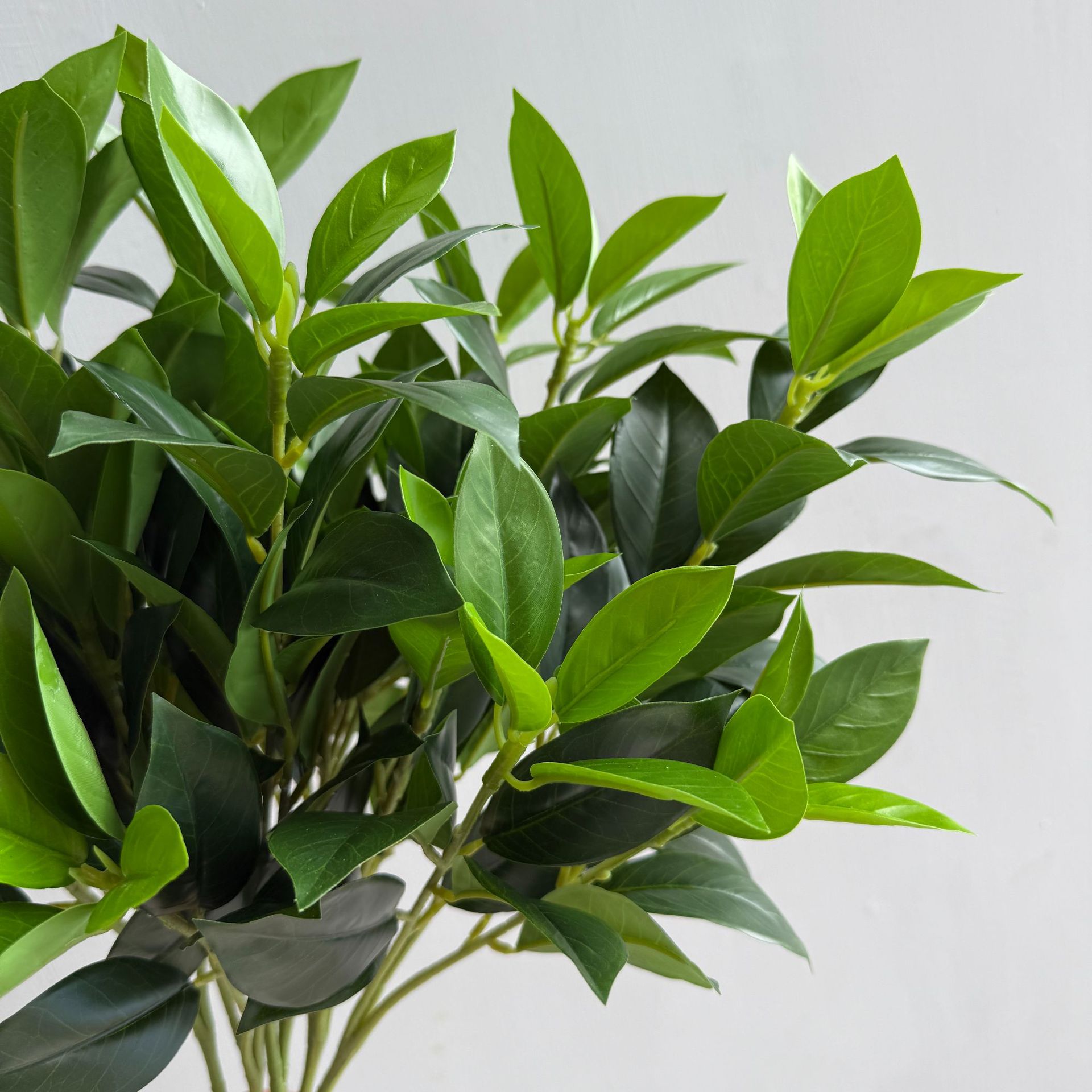 仿真柠檬叶 桔叶 桂花月桂叶 茶树叶 手感叶子植物造景树装饰家居详情11