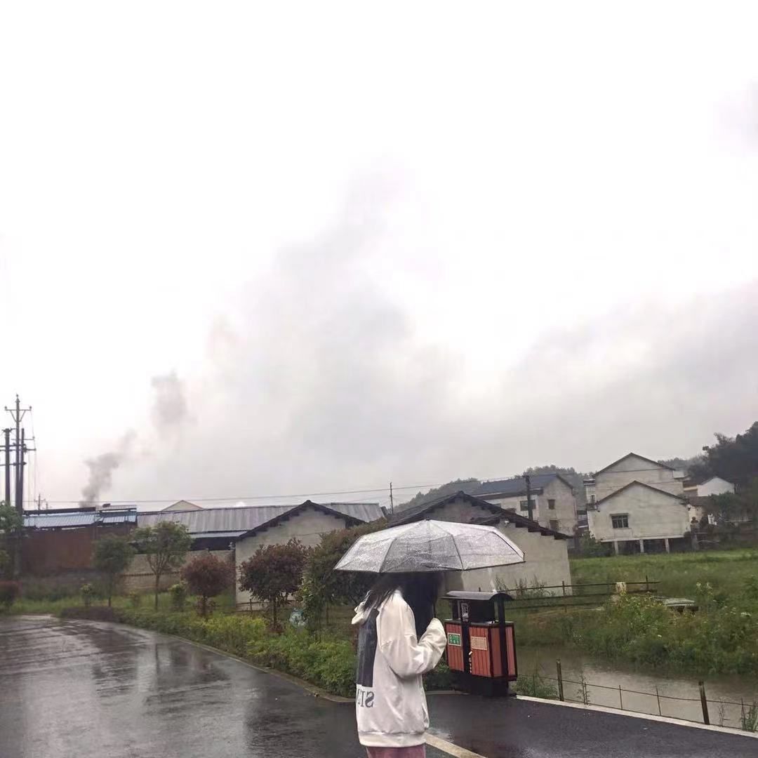 韩系透明雨伞折叠伞全自动ins系列男女款三折伞小清新加厚加固无详情16