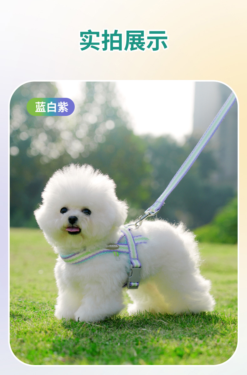 狗狗牵引绳防爆冲小型犬宠物背心式胸背带泰迪柯基胸背带遛狗绳子详情12