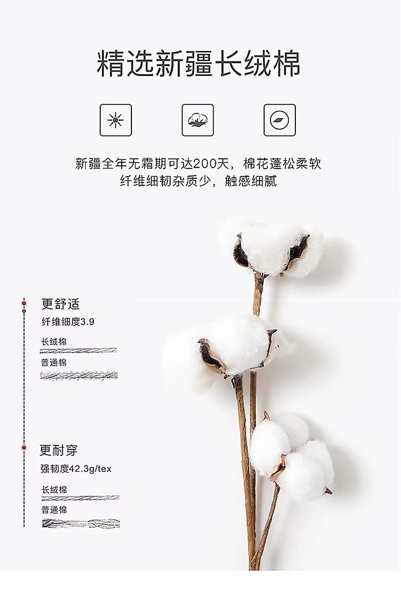 卫衣女新款2025爆款时尚洋气春秋季加绒加厚短款小个子灰色上衣春详情8