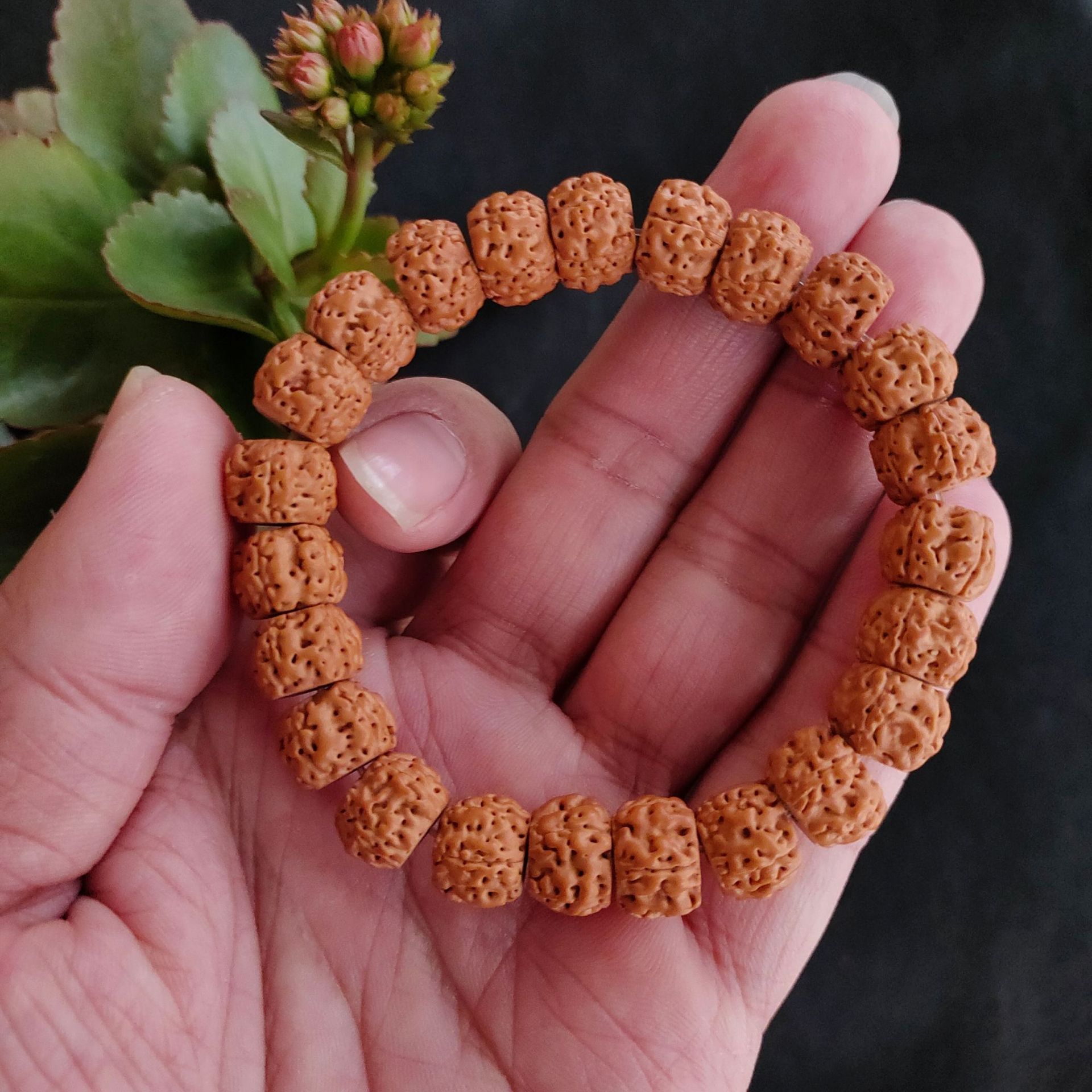 树王小金刚菩提手串搭菩提醒狮爆肉金刚菩提子男女款盘玩手持念珠详情16