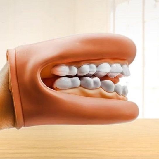 Dental model, oral teaching, dental simulation teaching AIDS, kindergarten brushing, medical children's pronunciation demonstration, handheld pic 5
