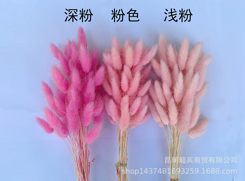 QQ图片20220105161052.jpg