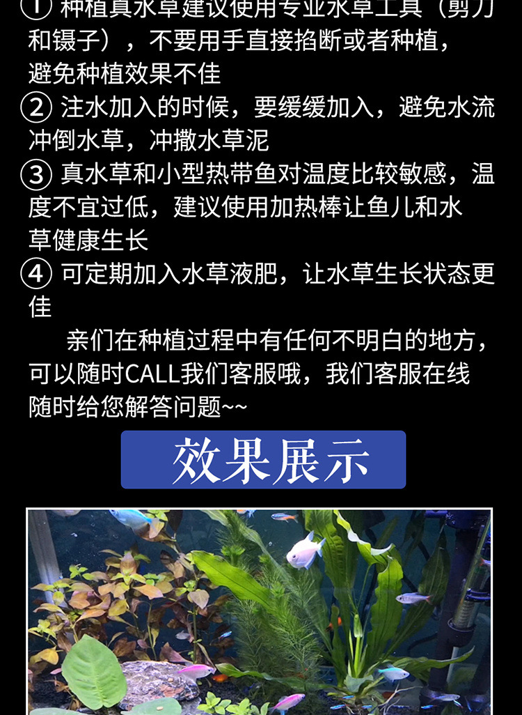 小型玻璃鱼缸桌面真水缸办公室鱼缸热带鱼金鱼生态迷你热弯鱼缸详情14