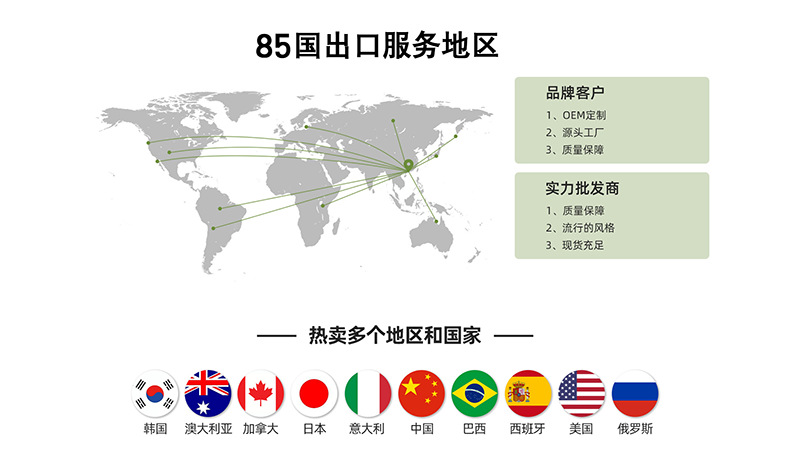 跨境y英文多功能大容量886搅拌果汁研磨机打粉机绞肉机外贸blende详情2