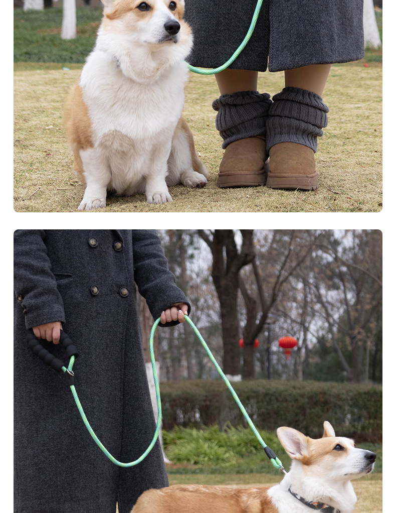 Dog leash, colorful nylon reflective round rope, large dog explosion-proof p rope, dog leash, medium and large dog leash pic 11