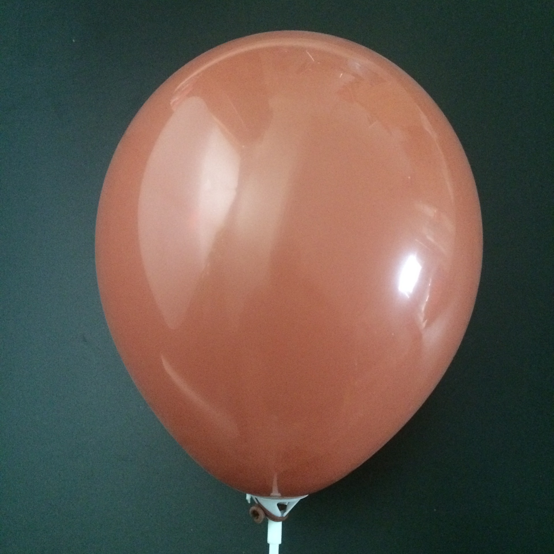 2.2-gram 10-inch matte latex balloons, pearlescent balloons, wedding balloons, party decorations, macarons, arch doors, wedding pic 15