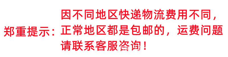 潜水铅块腰带铅块潜水铅块包塑胶配重快卸扣卡扣腰带500—4000克详情2