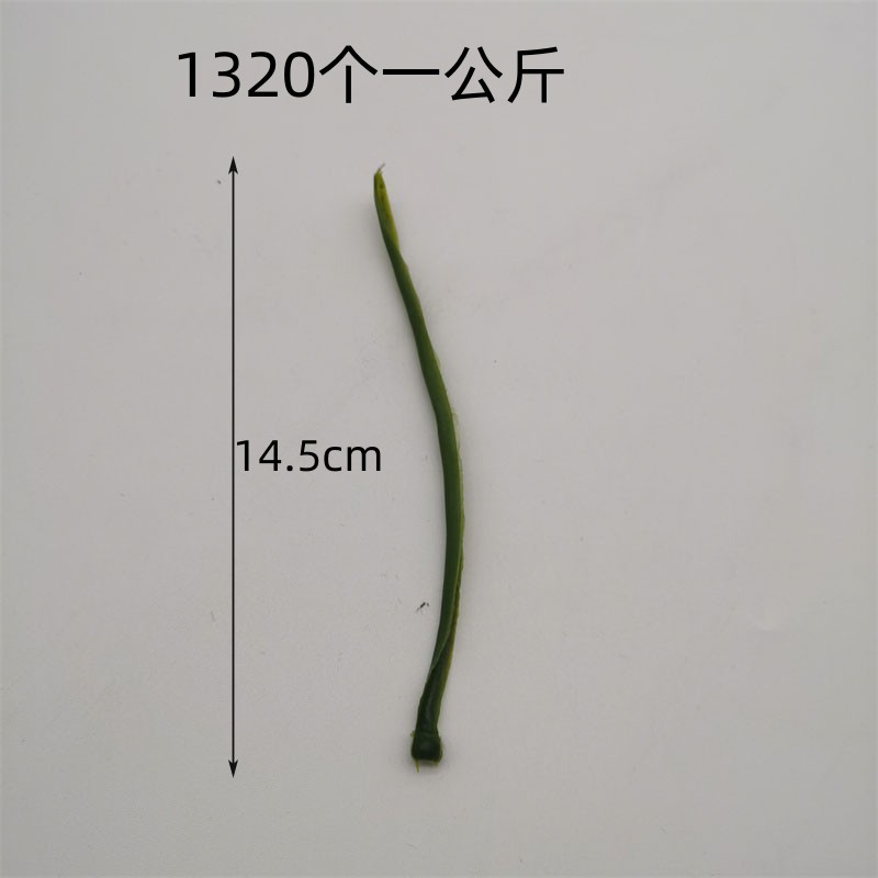 仿真绿植塑料水草波斯叶凤尾草三角叶片手工花束配件办公文化园艺装饰详情4