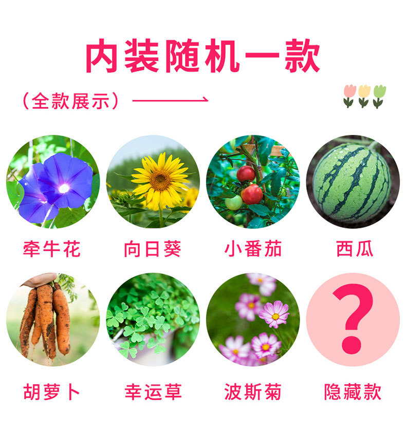 Pop Mart Zootopia Planting Blind Box collectible figurine product pictures Fun collection New Limited Edition pic 5