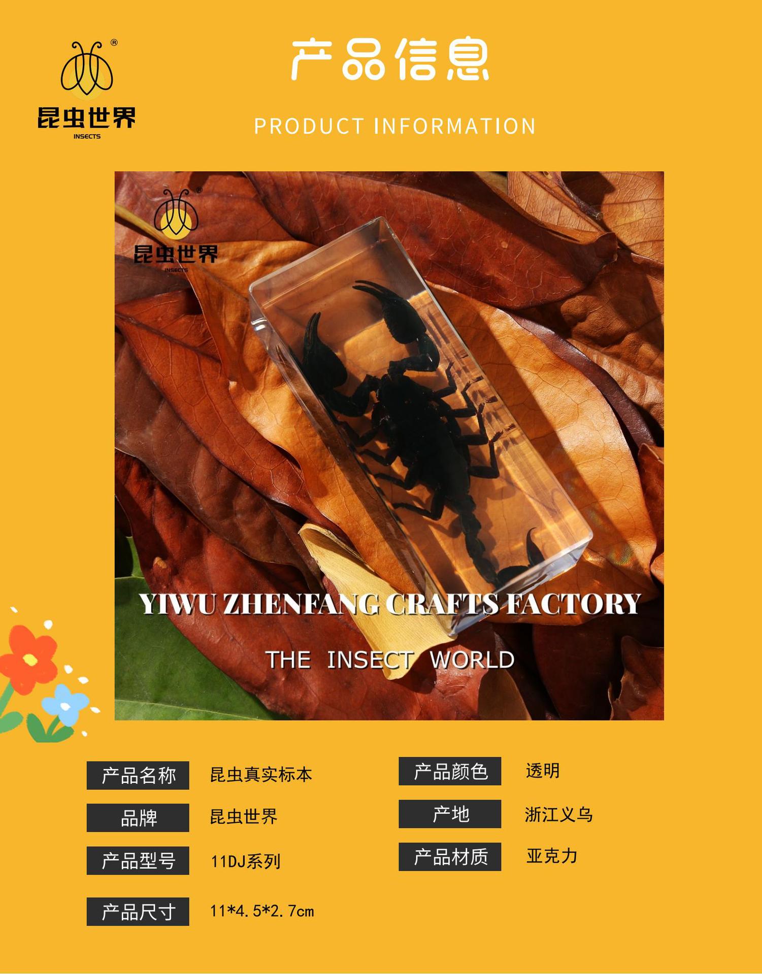 振方工艺跨境批发真实昆虫标本高透树脂琥珀大号亚克力摆件包埋详情3
