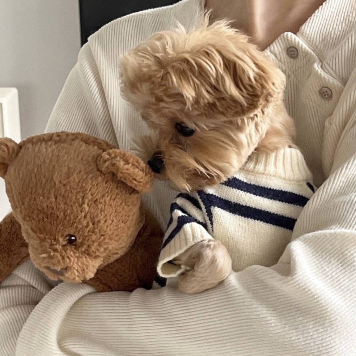 ins韩国保暖宠物针织毛衣服秋冬加厚中小型犬狗狗猫咪泰迪批发pet详情12