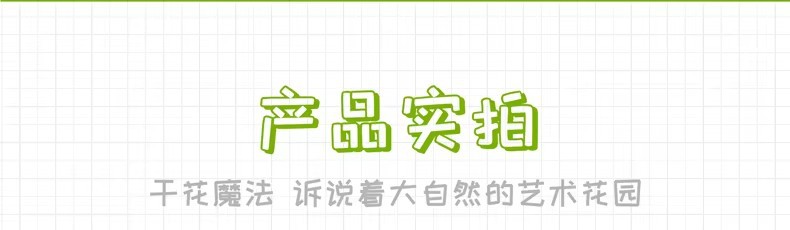 瓶子里的春天干花书签手工diy材料包透明植物秋天树叶标本塑封膜详情18