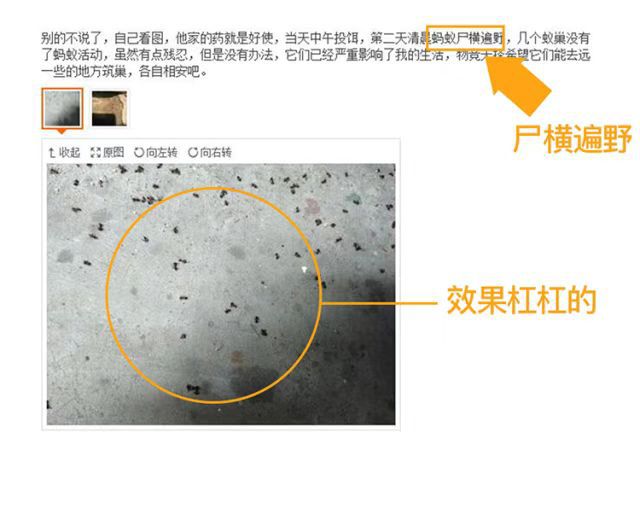 82 厂家直销 外贸出口 达豪灭蚁清 啥蚁饵剂（5g）详情10