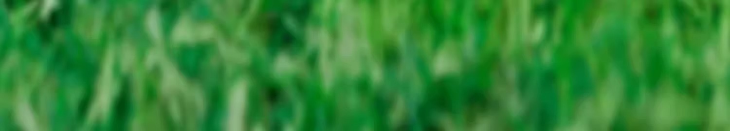 户外露营小推车儿童可躺露营车聚拢越野轮营地车摆摊折叠小推车详情12